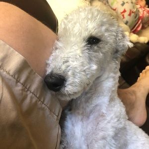 Meet your Posher, Eric